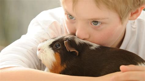 生小孩 養寵物|飼養寵物有益於兒童成長？或者這只不過是我們人類的。